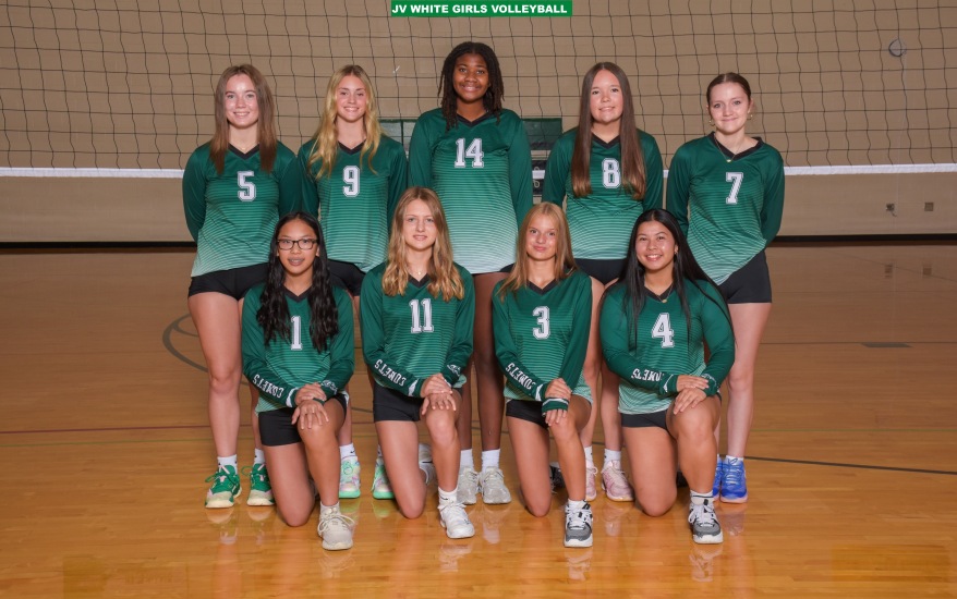 Girls JV White Volleyball Team